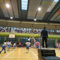 113-1體育週:IMG20241112164605