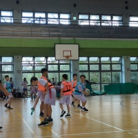 113-1體育週